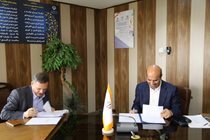 تفویض اختیار به استان زنجان برای تسهیل و تسریع سرمایه‌گذاری در نیروگاه‌های خورشیدی