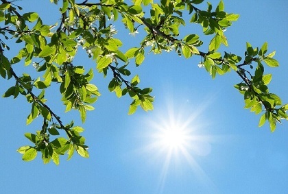 هشدار افزایش محسوس دما در ۳۱ استان