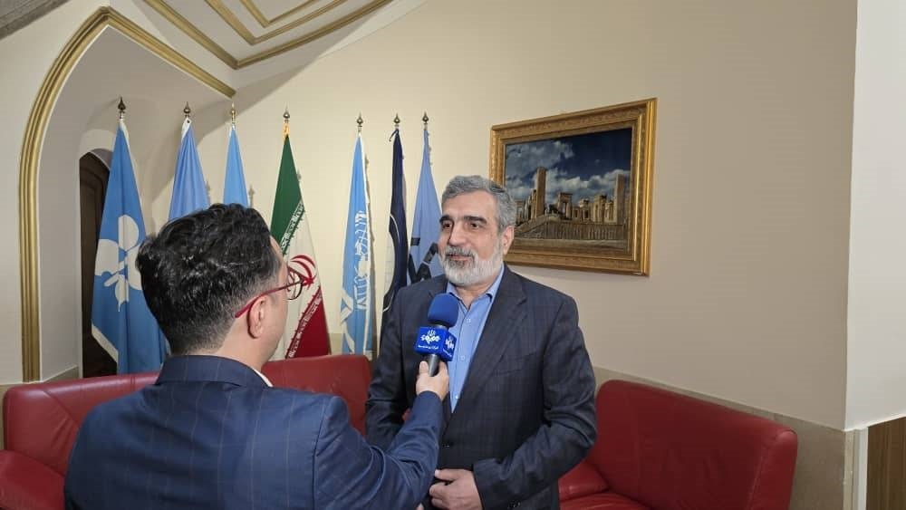 کمالوندی: به‌رغم سنگ‌اندازی آمریکا، برای تصویب قطعنامه پیشنهادی ایران تلاش می‌کنیم