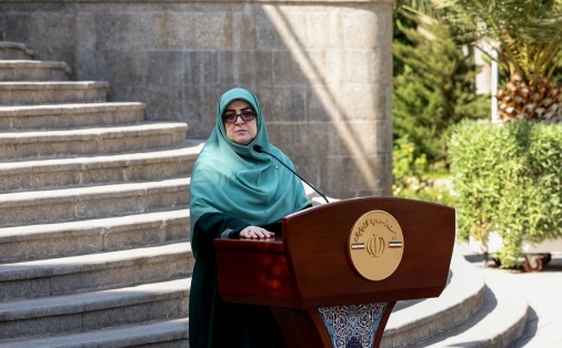 مهاجرانی: دولت مصوبه ای درمورد نرخ بنزین نداشته است 