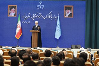 اژه‌ای: قضات در پیشبرد امور قضایی مردم تعجیل کنند